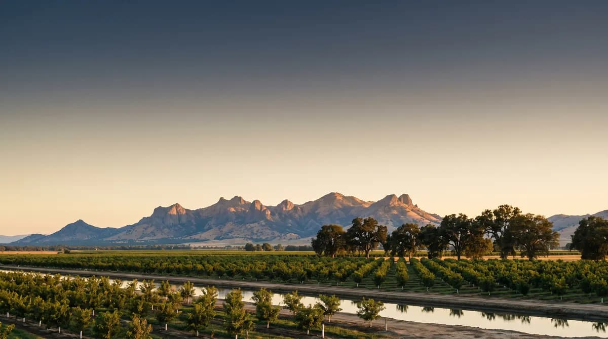 The Sutter Buttes above orchards at golden hour