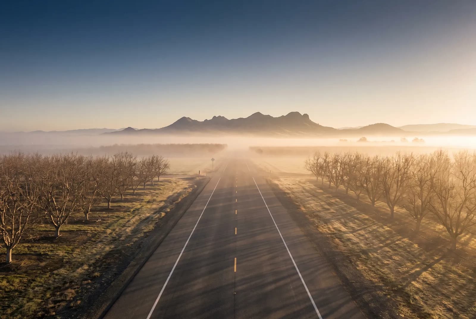 A rural highway through orchards toward the Sutter Buttes at dawn